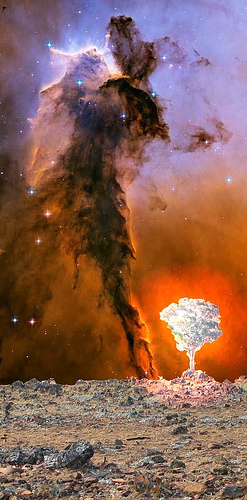 One Tree Nebula